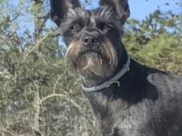 mini_ratzer_1_20220430_1036368235